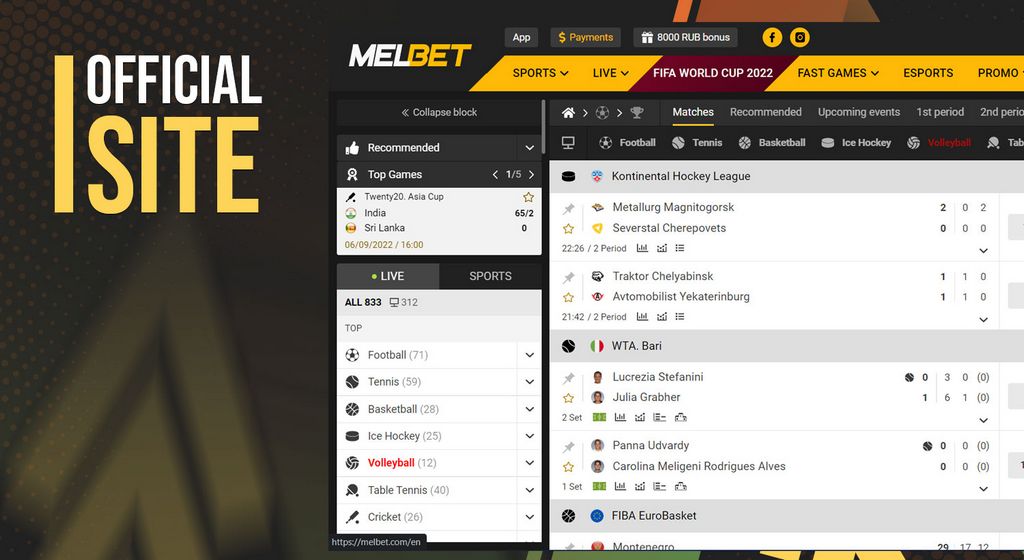 Quick Review of Melbet Application